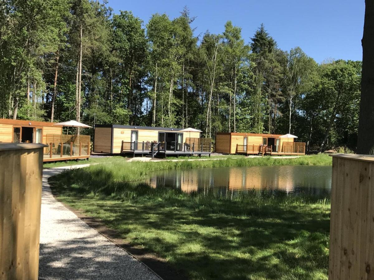 יורק Rowan Boutique Lodge For Couples With A Dog מראה חיצוני תמונה